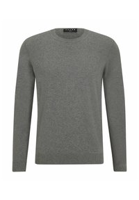 Grå långärmad tröja med rund hals, ribbade ärmslut och nederkant. Tillverkad av ett mjukt tyg med en slät textur och minimala designdetaljer.