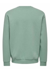 Only & Sons ONSCERES CREW NECK NOOS - Melegítőfelső - chinois green