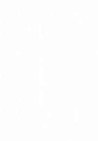 Effen witte canvas met een matte textuur, voorzien van subtiele verticale lijnen voor diepte, zonder enige extra details of kleuren.