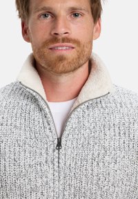 Strickpullover mit Reißverschluss vorne, grau-weißer gesprenkelter Musterung und einem cremefarbenen Kunstfellkragen. Weiche Textur und lässiges Design.
