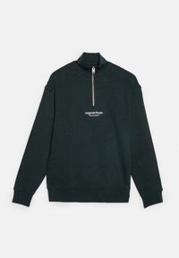 Jack & Jones Junior JORVESTERBRO QUARTER ZIP - Sweatshirt - magical forest