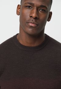 PROFUOMO THE STRUCTURE BASIC CREW - Strickpullover - dark brown