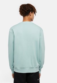 Sudadera verde menta con mangas largas, puños acanalados y dobladillo. Tejido de algodón suave con un diseño simple y sin adornos.