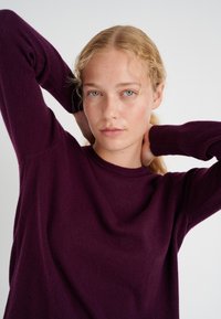 InWear LUKKAIW CREW NECK - Jumper - brown bordeaux