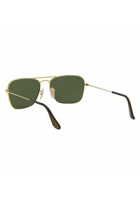 Occhiali da sole in metallo dorato con lenti verdi, forma quadrata, montatura sottile, naselli regolabili e estremità delle tempie in plastica marrone.