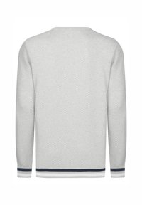 Heledhall hallitatud kampsun, millel on tekstuuriline muster, ümmargune kaelus ja tumesinised triibuaktsendid varrukaotsades ja allservas. Näidatud tagakülg.