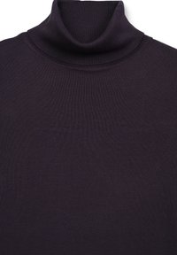Maglione a collo alto di un viola scuro realizzato in tessuto a coste; design aderente con un collo alto, texture liscia e minimalismo nei dettagli.