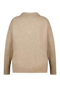 Beige gebreide trui met een kraag, lange mouwen en geribde boorden. Zachte textuur met een subtiel patroon, ontworpen voor een ontspannen pasvorm.