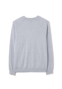 Pull gris clair avec un col rond, des poignets et un ourlet côtelés. Fabriqué dans un tissu doux avec une texture lisse et sans motifs visibles.