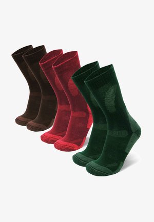 3 PACK - Strumpor - multicolor (green, brown, red)