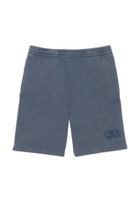 Pantaloni corti sportivi in cotone grigio con elastico in vita, tasche laterali e un'etichetta cucita con il logo Lacoste. Texture liscia, design casual.