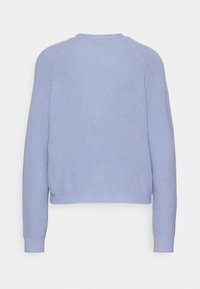 Pull tricoté bleu clair à manches longues et encolure ronde, vu de dos sur un fond blanc uni.
