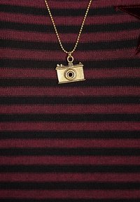 Kultainen kamerariipus hienolla ketjukaulakorulla, esillä viininpunaisen ja mustan raidallisen kangastaustan edessä. Riipuksessa on yksityiskohtaiset suunnittelu-elementit.