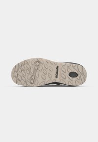 Columbia NEWTON ALPINE PT - Fjellsko - kettle/tangy orange
