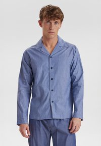 Gestreepte overhemd in blauw en wit, met een zachte stof, lange mouwen en een klassiek kraagontwerp.