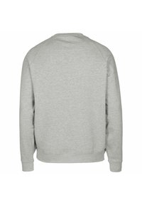 Siva majica s okruglim izrezom, dugim raglan rukavima i rebrastim manžetnama i rubom. Glatka tekstura bez vidljivih uzoraka ili naglasaka.