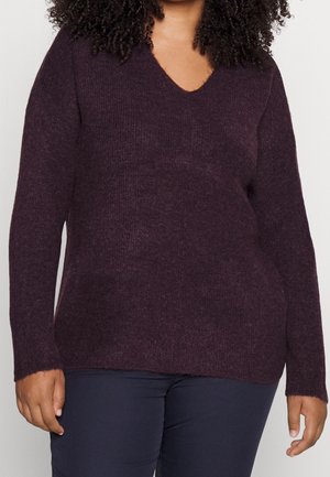 Krøllet person iført en langærmet, mørkelilla V-hals sweater og mørke bukser mod en ensfarvet baggrund.