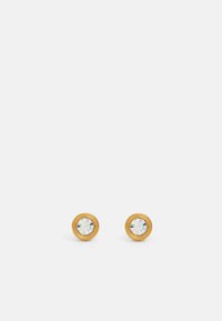 SMALL STUDS - Earrings - clear/gold-coloured