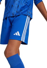 Blauwe sportshorts gemaakt van gladde stof, met drie witte strepen en een wit logo-detail. Het ontwerp bevat een gestructureerd blauw bovenstuk.