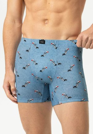 mey, MEY LONG SHORTY SERIE MEY X LORIOT MIT PRINT - Kurze Boxershorts - central lake