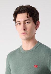 Green knit sweater with a round neckline and a small red logo tag on the chest. Fabric appears soft and smooth with a fitted design.
