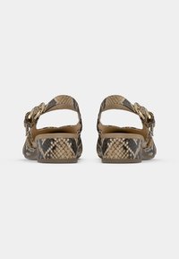 Pair of low-heeled, open-back sandals with snake print pattern and gold buckle straps, shown from the rear on a white background.