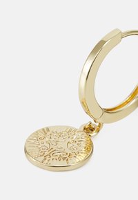 Pilgrim EARRINGS - Uhani - gold-coloured