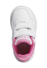 adidas Performance STREET HOOPS - Zapatillas de entrenamiento - white