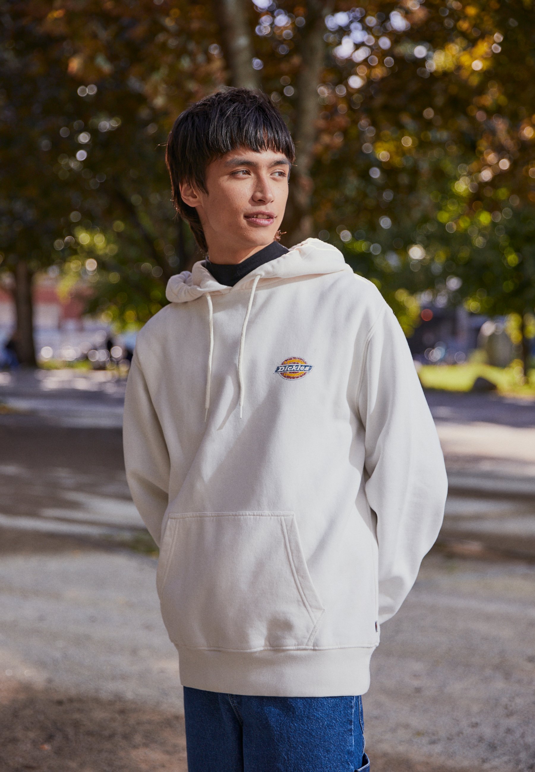 Dickies ICON WASHED HOODIE - Sweatshirt - ecru/beige - ZALANDO.FR