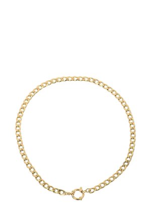 Collana in metallo dorato con maglie intrecciate e finitura liscia, chiusura rotonda e spessore costante in tutta la lunghezza.