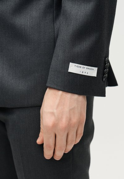 Κοντινό πλάνο ενός χεριού δίπλα σε μανίκι σκούρου γκρι κοστουμιού με λευκή ετικέτα που γράφει "Tiger of Sweden 1903" και μαύρα κουμπιά μανικιού.