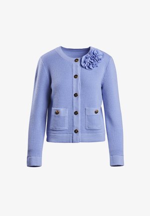 Svetlo modra jopica z teksturiranim pletenjem, okroglo ovratnikom, petimi rjavimi gumbi, dvema sprednjima žepoma in cvetlično dekoracijo na levem ramenu.