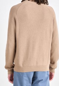 Beżowy sweter dzianinowy z prążkowanymi mankietami i dołem, z okrągłym dekoltem i rękawami raglanowymi, prezentowany od tyłu.