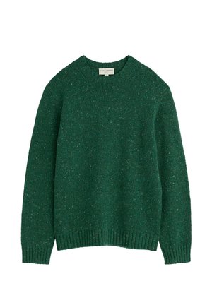Seasalt Cornwall, SEASALT CORNWALL MEN'S TROWAN CREW NECK JUMPER - Pullover - green - thicket