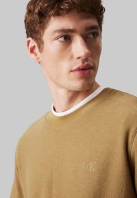 Suéter marrón de punto con un acabado texturizado, que presenta un cuello redondo y un collar interior blanco. Pequeño logotipo bordado en la parte delantera.