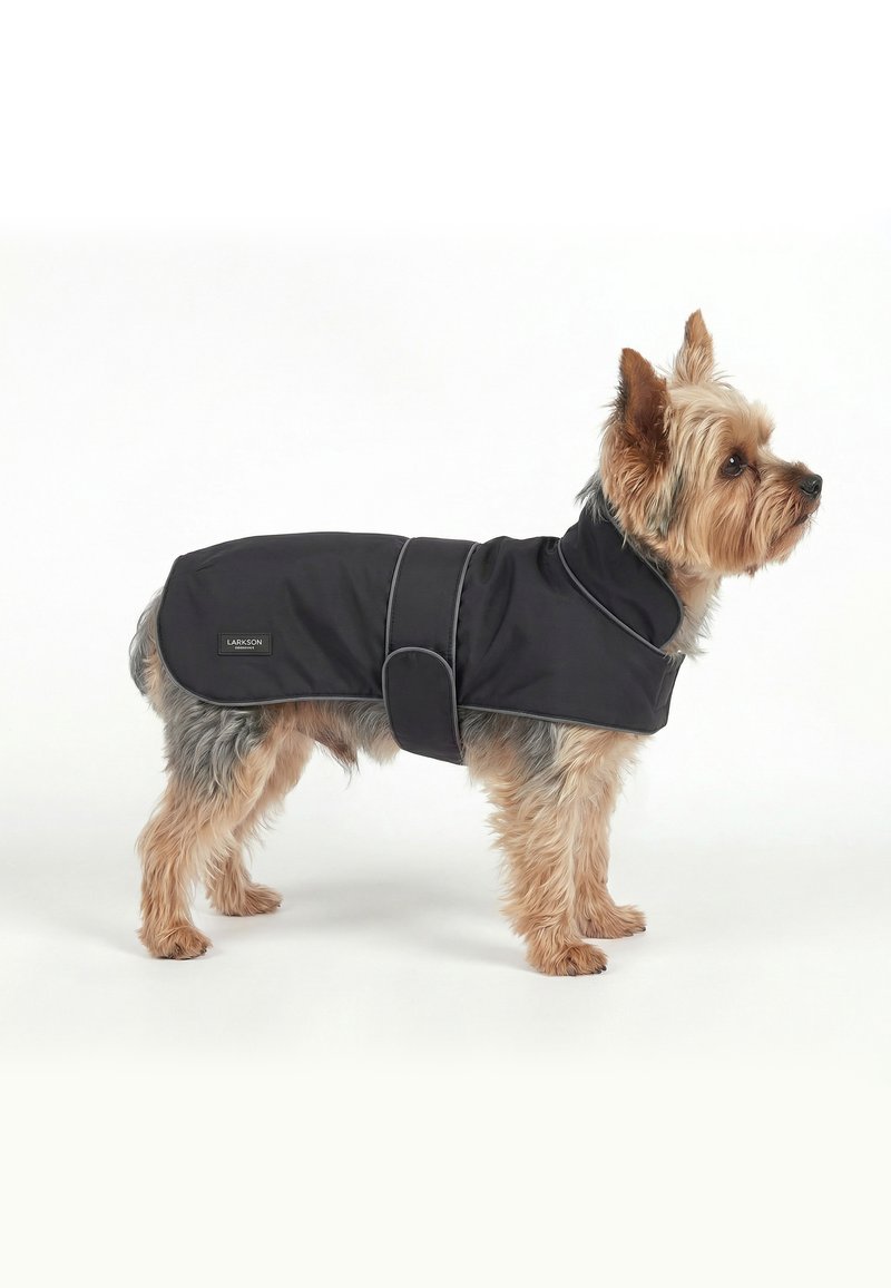 Piccolo cane in piedi di lato che indossa un cappotto nero aderente con collo e cintura regolabile su sfondo bianco.