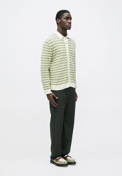 Man standing in striped cream and green cardigan, dark green pants, and green and brown loafers against a plain white background.