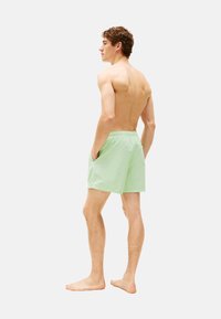 Hellgrüne Badeshorts mit einem elastischen Bund, seitlichen Taschen und einer lockeren Passform, hergestellt aus einem leichten Stoff. Das Modell wird von hinten gezeigt.