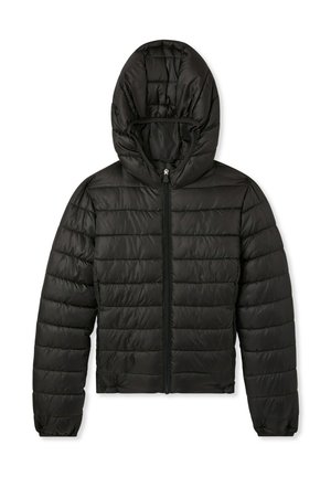 Terranova - Kurtka zimowa