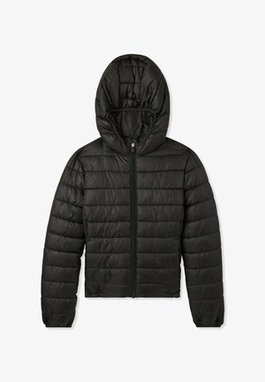 Terranova - Kurtka zimowa