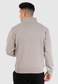Lichtgrijze pullover met een hoge kraag en ribbelzoom. Heeft lange mouwen en een gladde textuur, getoond vanuit de achterkant zonder zichtbare opdruk.