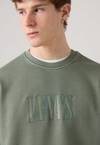Groene sweatshirt met een geborduurd "LEV'S" logo in lichter blauw. Zacht katoen materiaal met een ronde halslijn en een gestructureerde stof.