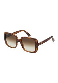 GG OVERSIZED SQUARE ACETATE SUNGLASSES - Lunettes de soleil - havana/brown