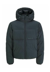 Sort puffjakke med hætte, der har en frontlynlås, to brystpaneler og elastiske manchetter. Glat tekstur og isoleret design.