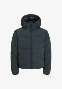 Ausgewählt, forest river