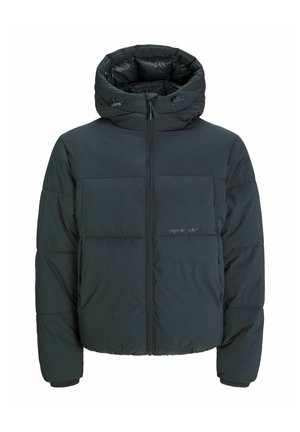Svart puffjacka med huva, med frontdragkedja, två bröstpaneler och elastiska ärmslut. Slät textur och isolerad design.