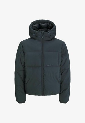 Sort puffjakke med hætte, der har en frontlynlås, to brystpaneler og elastiske manchetter. Glat tekstur og isoleret design.