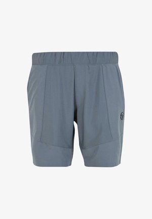 Grijze sportshorts met een elastische tailleband, voorzien van twee zijzakken en een logo op de linkeronderkant. De stof lijkt glad en lichtgewicht.