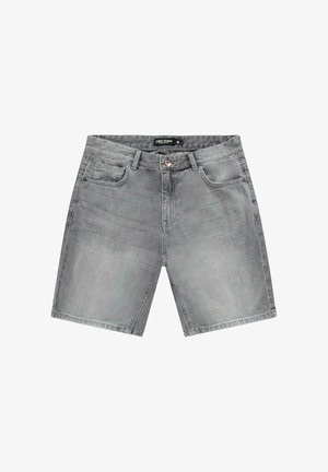 Grijze denim shorts met een klassieke snit, vijf zakken en een knoopsluiting aan de voorkant. Heeft een lichte vervaging en subtiele stikdetails.
