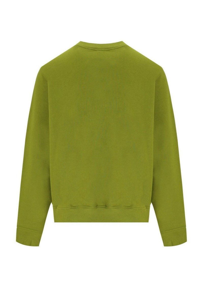 Grüner Sweatshirt mit rundem Halsausschnitt, langen Ärmeln sowie gerippten Bündchen und Saum. Glatte Textur, minimalistisches Design, einfarbig ohne Muster.